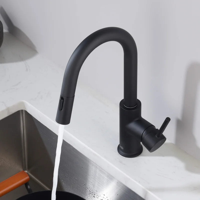 Luxe Pull Down Single Handle Kitchen Faucet with Accessories KKF2011MB